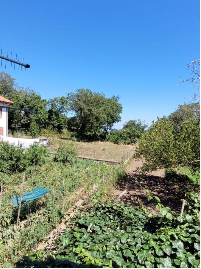Luna D'Agerola Bagian luar foto